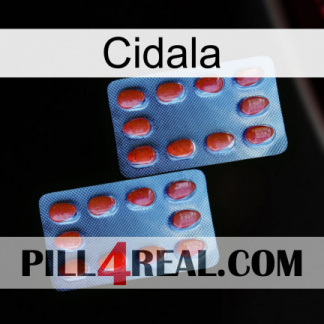 Cidala 05